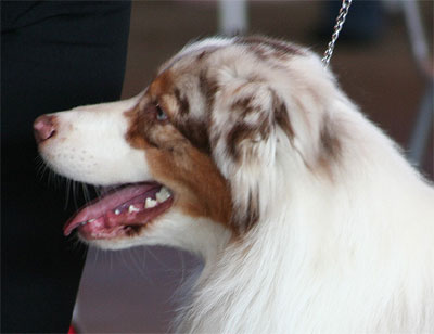 Duncan3