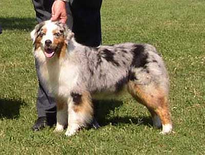 Kinsey_WB2